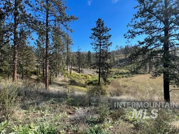 $160,000 | Tbd Lot 1 Tbd Road, Kamiah, ID 83536