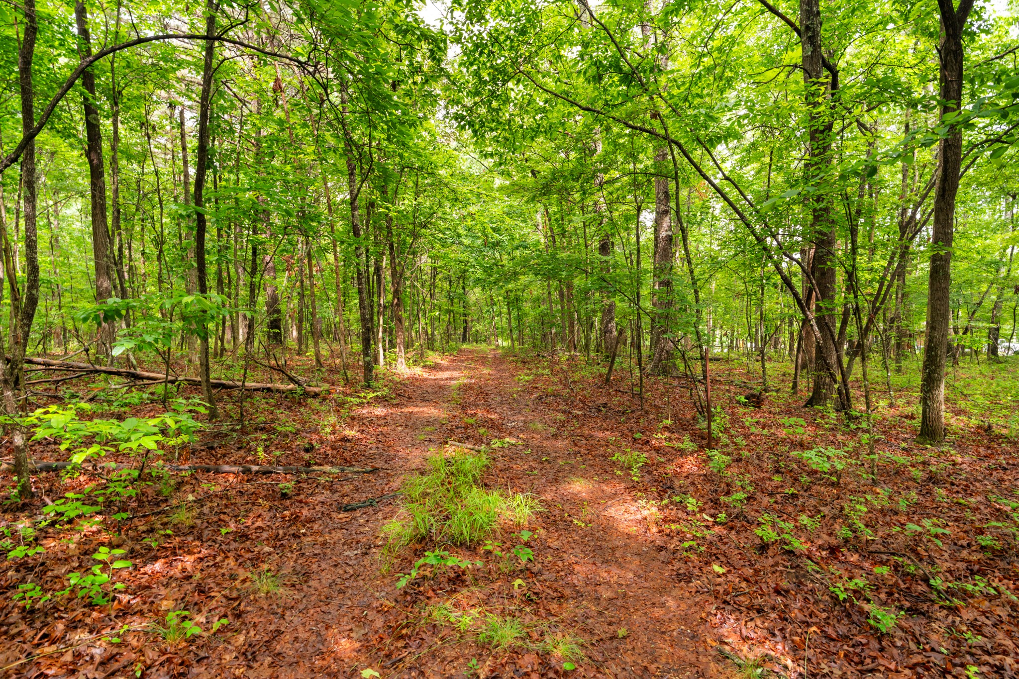 0 Salzer Mountain Road Spencer, TN 38585 - Photo 26 of 28