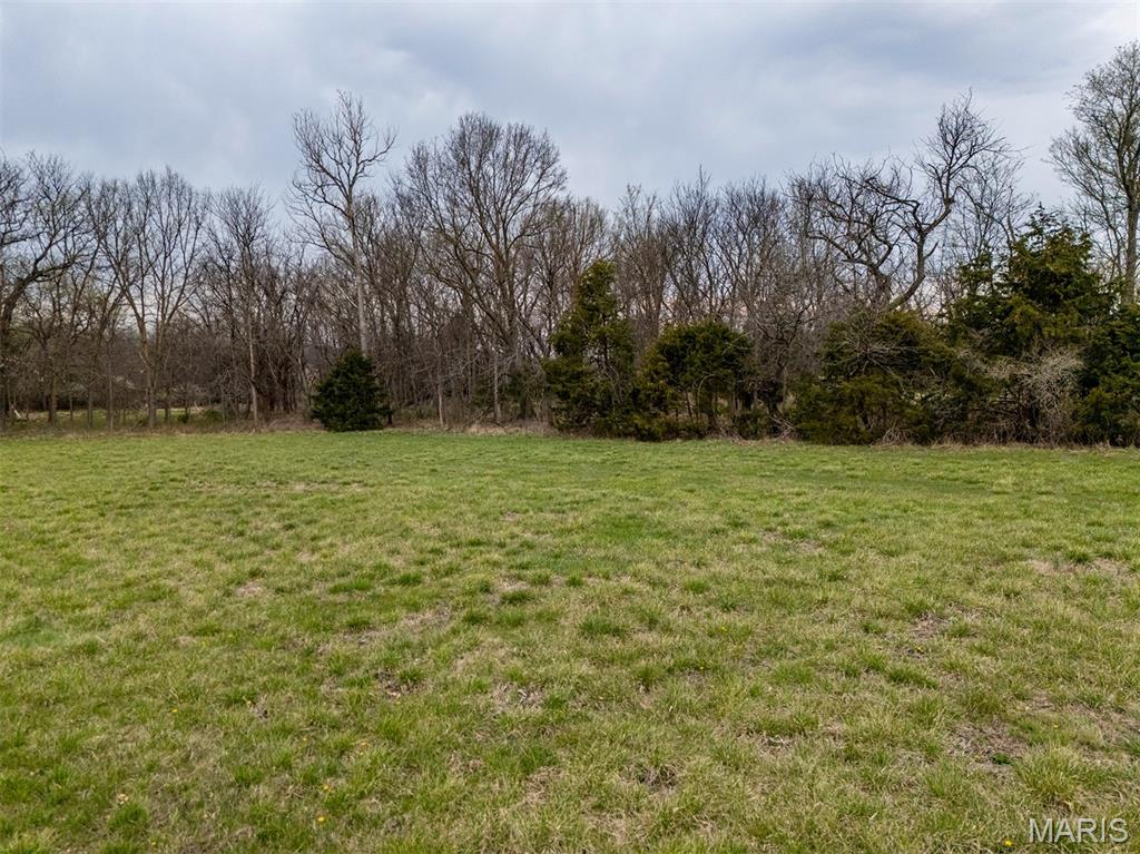 0 Highway 61 Outer Road Frankford, MO 63441 - Photo 8 of 15