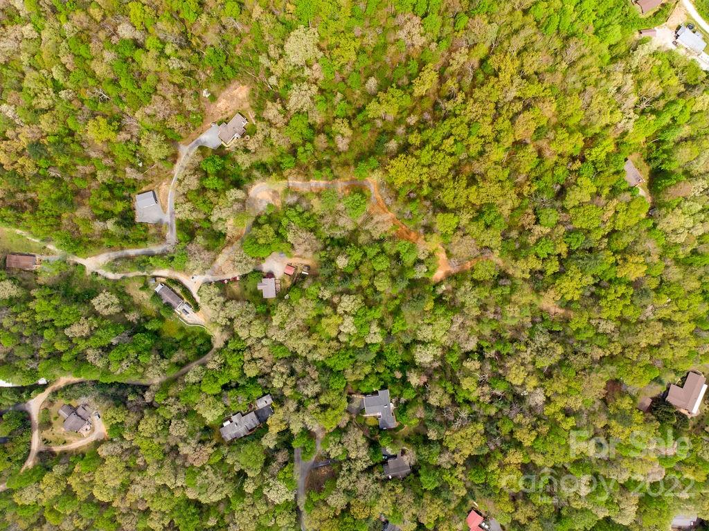 Tbd Long Ridge Road Brevard, NC 28712 - Photo 18 of 33 Gallery Image 18