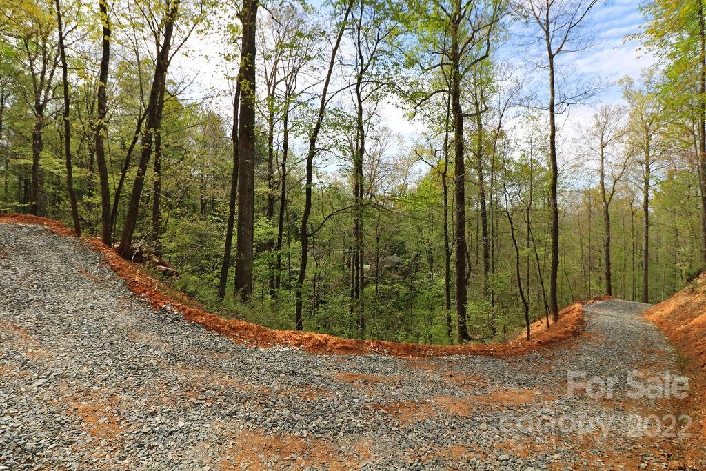Tbd Long Ridge Road Brevard, NC 28712 - Photo 24 of 33 Gallery Image 24