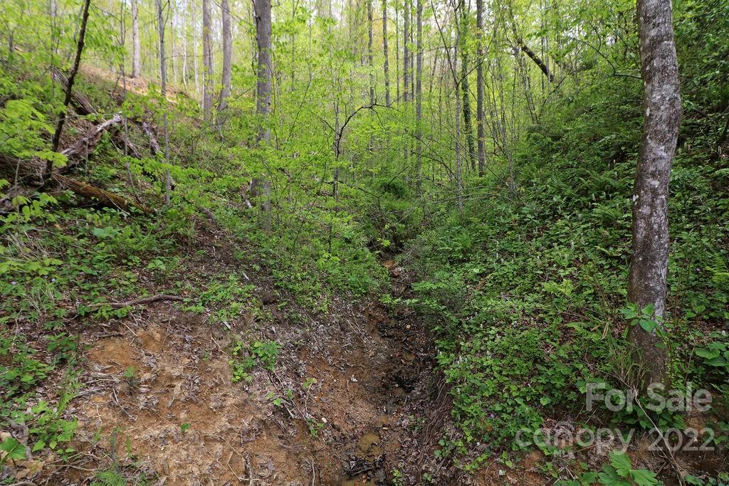 Tbd Long Ridge Road Brevard, NC 28712 - Photo 26 of 33 Gallery Image 26