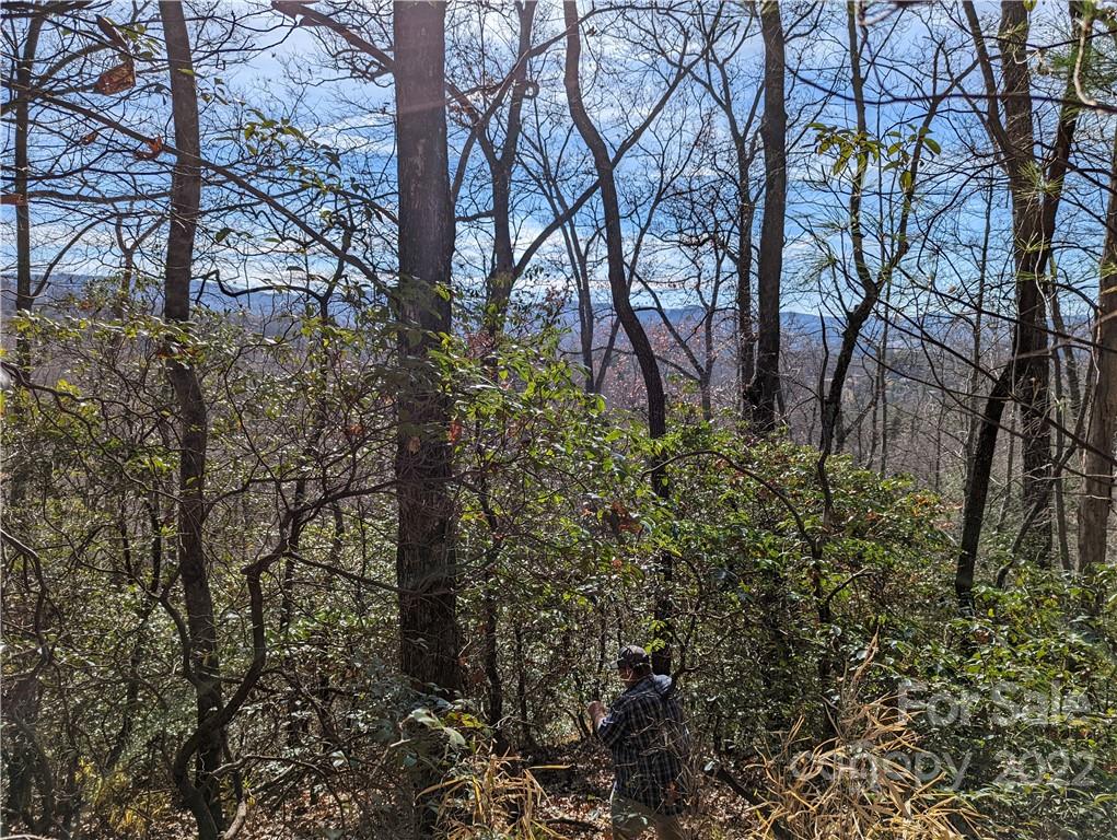 Tbd Long Ridge Road Brevard, NC 28712 - Photo 27 of 33 Gallery Image 27