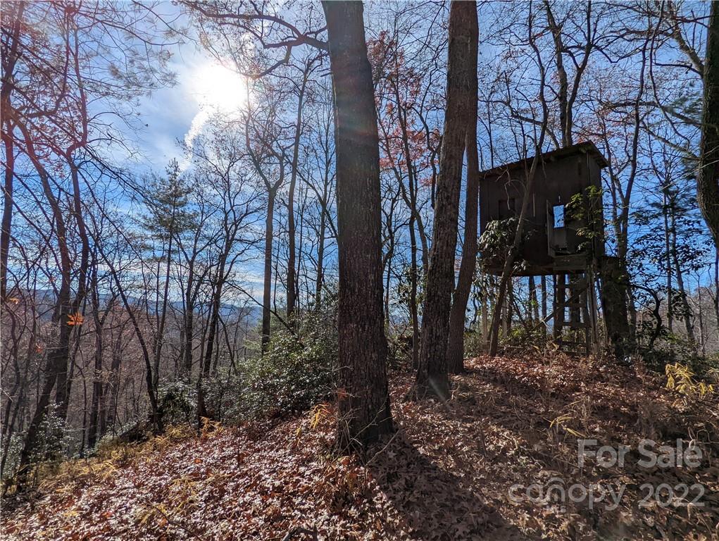 Tbd Long Ridge Road Brevard, NC 28712 - Photo 3 of 33 Gallery Image 3