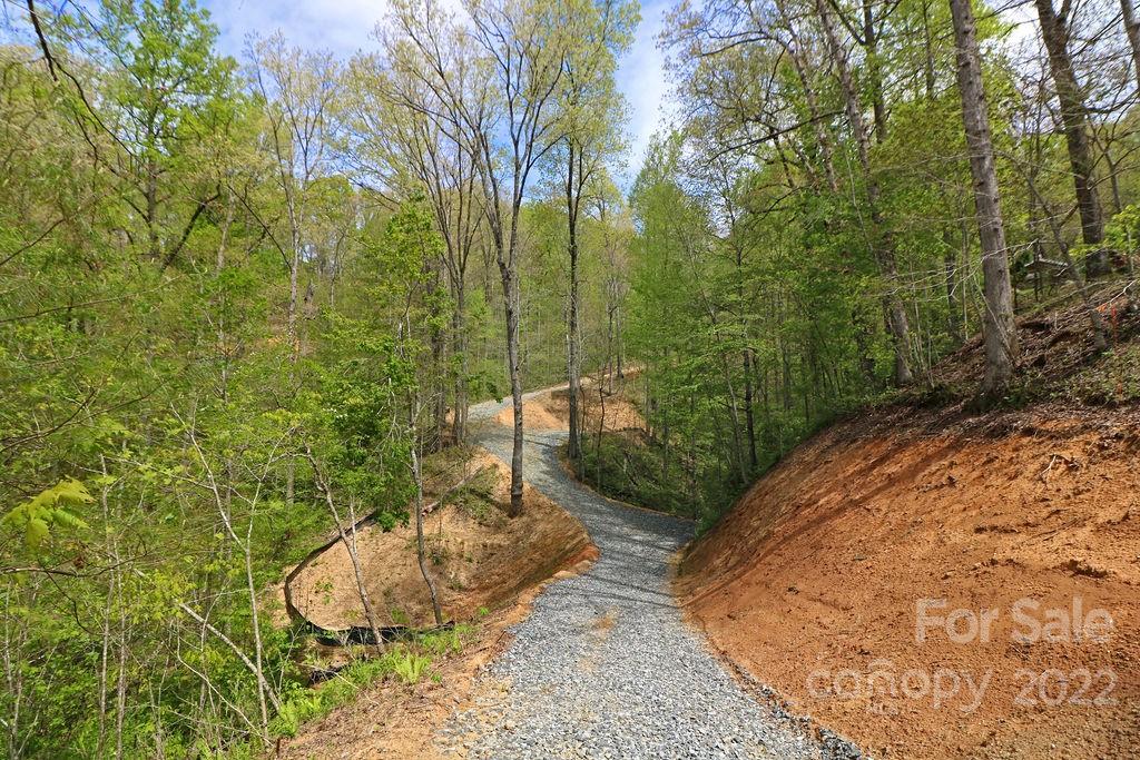 Tbd Long Ridge Road Brevard, NC 28712 - Photo 4 of 33 Gallery Image 4