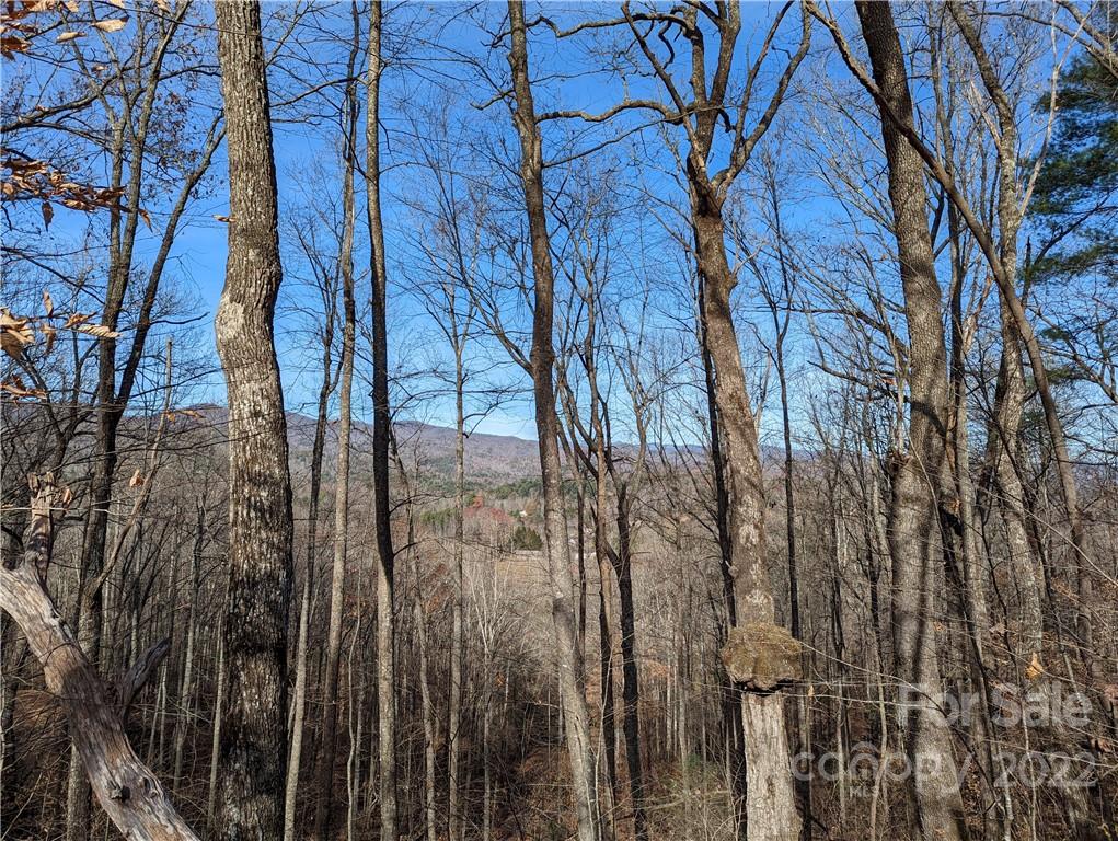 Tbd Long Ridge Road Brevard, NC 28712 - Photo 8 of 33 Gallery Image 8
