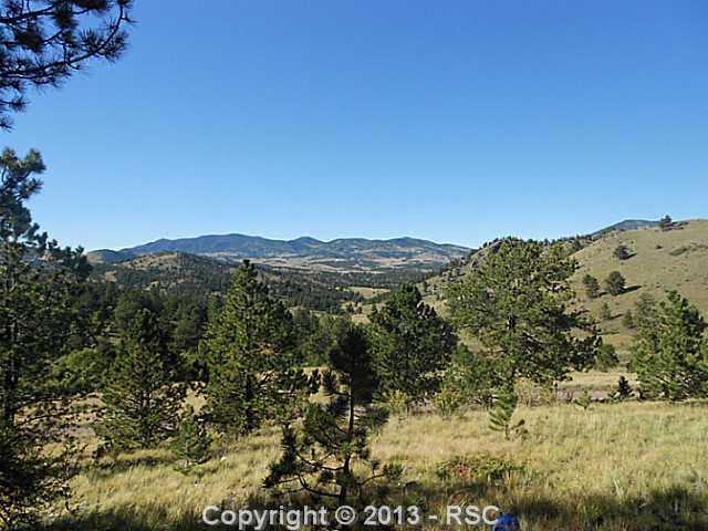 Tbd Cover Valley Road Guffey, CO 80820 - Photo 16 of 17 Gallery Image 16