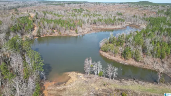 $1,599,000 | O Bluebird Lane, Unit 1, Centreville, AL 35042