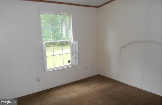4156 Governor Almond Road Locust Grove, VA 22508 - Photo 18 of 21 Gallery Image 18