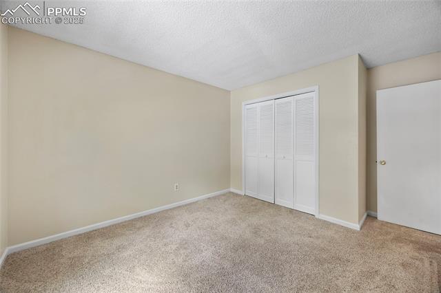 395 Raspberry Lane Monument, CO 80132 - Photo 25 of 36