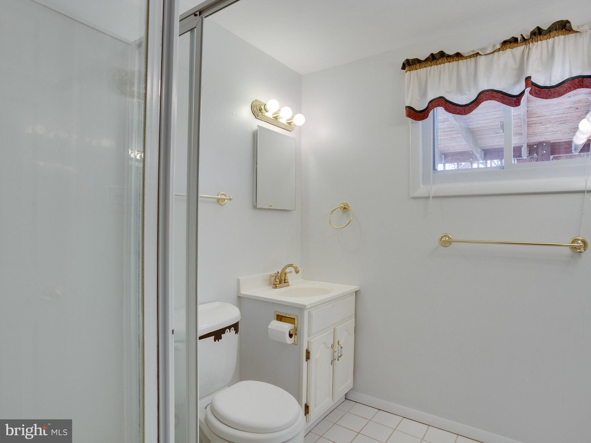 617 West Poplar Road Sterling, VA 20164 - Photo 22 of 30 Basement bath