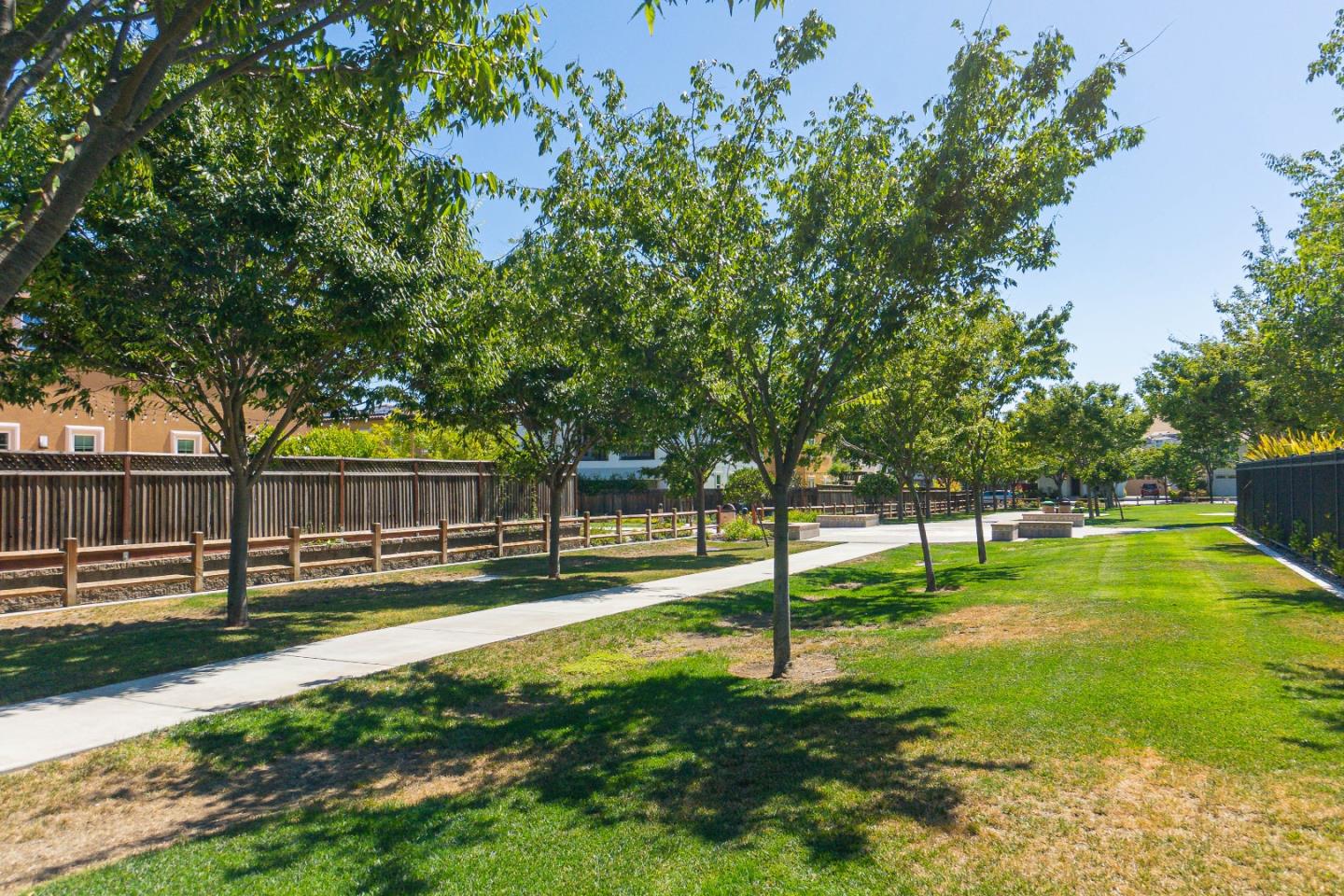 4232 Astor Hollow Street San Ramon, CA 94582 - Photo 35 of 37 a view of a backyard with swings