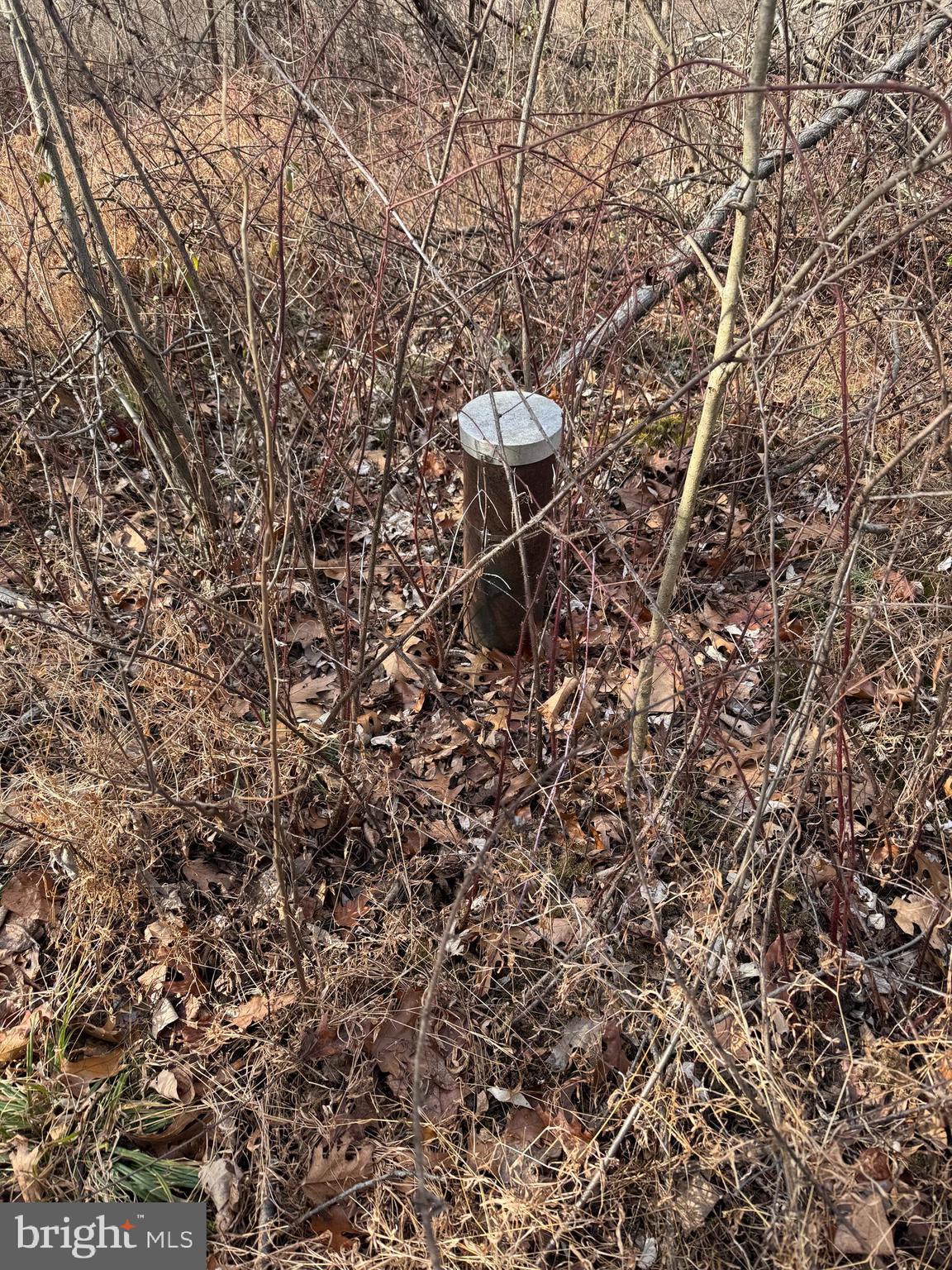 244 Wheatley Drive Westminster, MD 21157 - Photo 1 of 2 a view of a yard