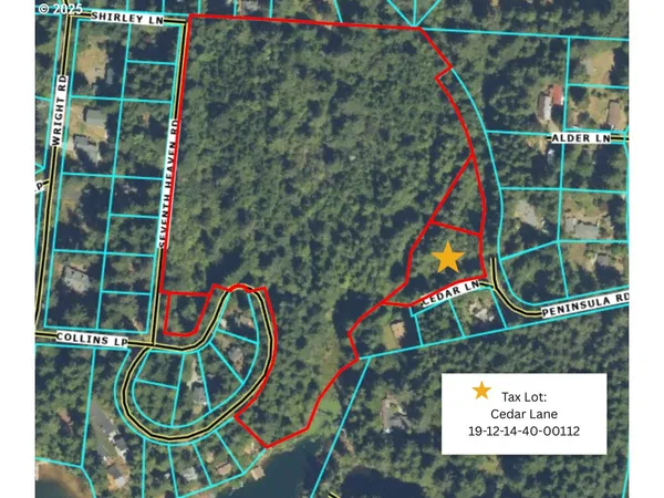 a black and white photo of a park