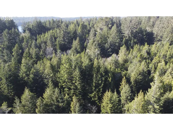 a black and white photo of a house