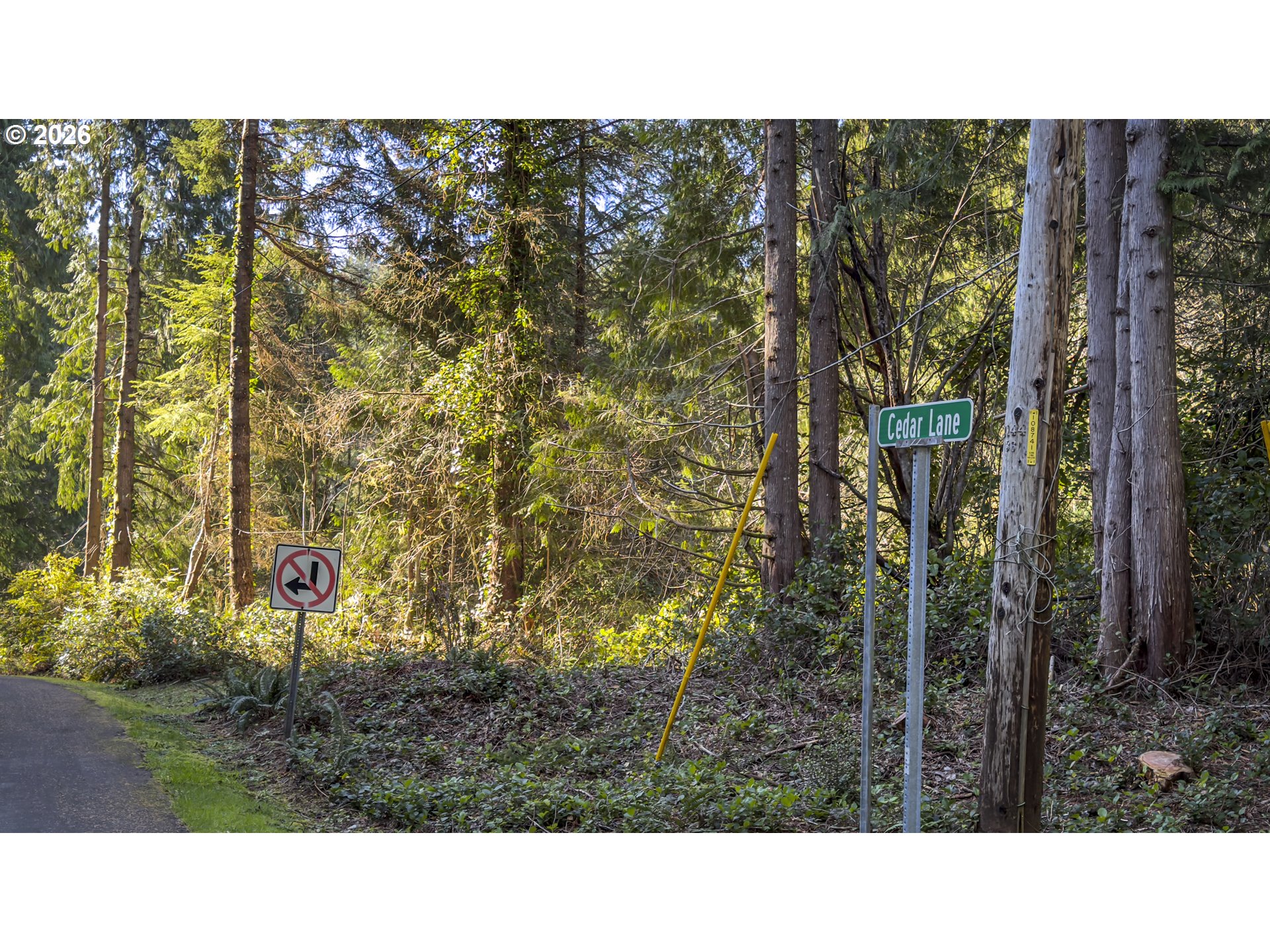 Cedar Lane, Unit 112 Florence, OR 97439 - Photo 2 of 12 a black and white photo of a park