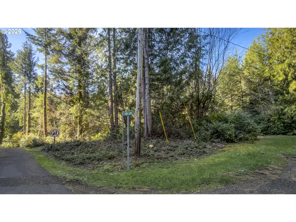 a black and white photo of a house