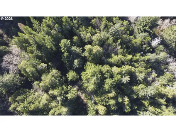 a black and white photo of a house