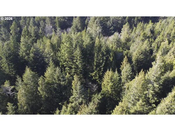 a black and white photo of a city