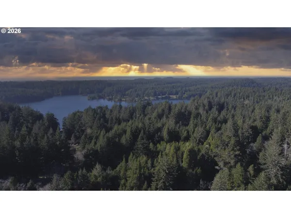 a black and white photo of a house