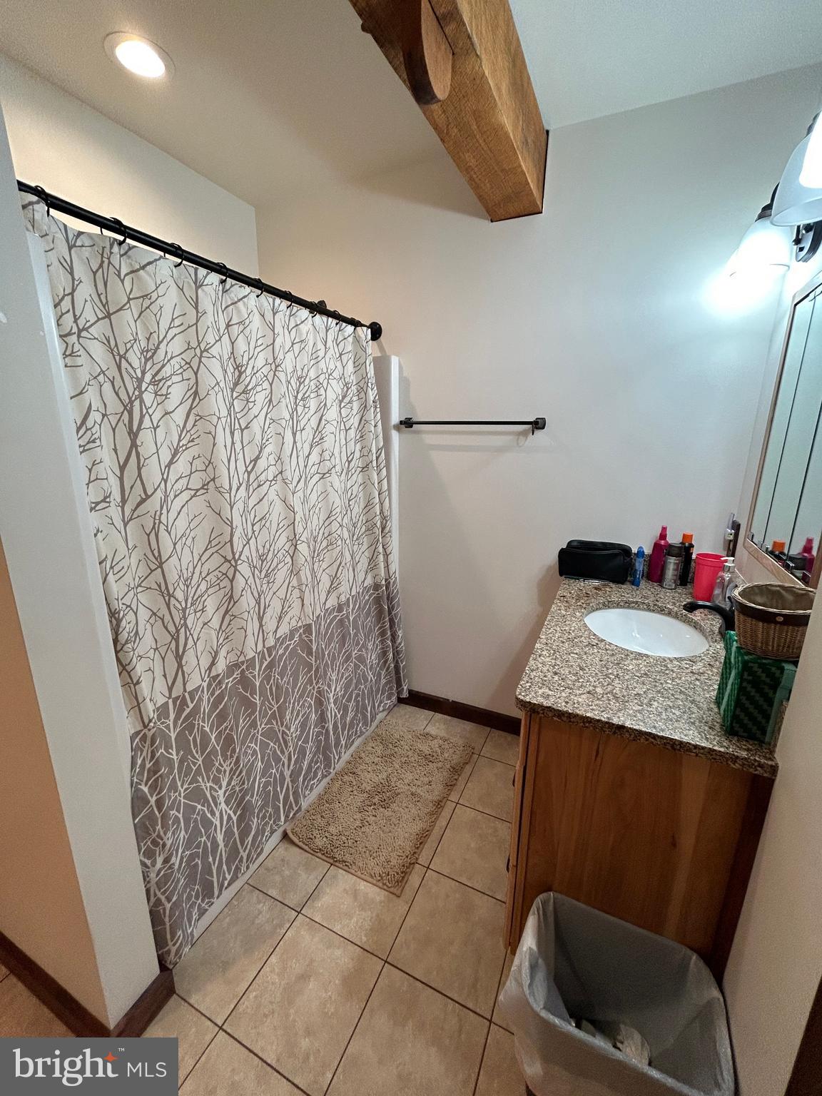 14301 Tower Road Smithsburg, MD 21783 - Photo 50 of 127 a bathroom with a granite countertop sink and a shower