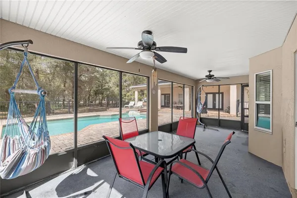 a view of a yard with potted plants
