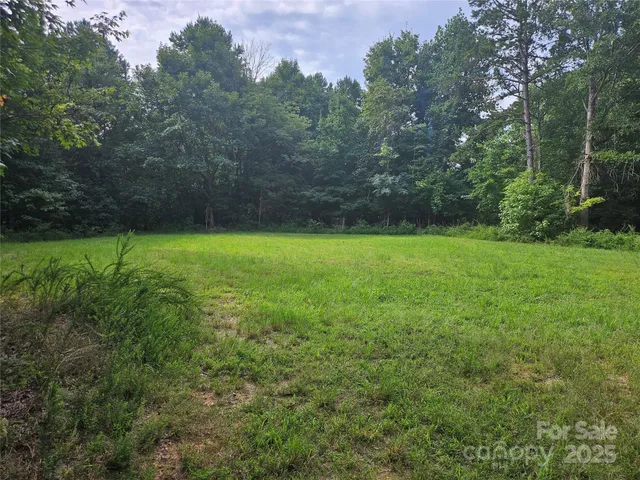 a view of a yard with a tree