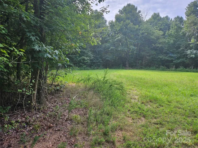 a view of a yard with a trees