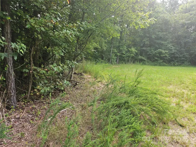 a view of a lush green space