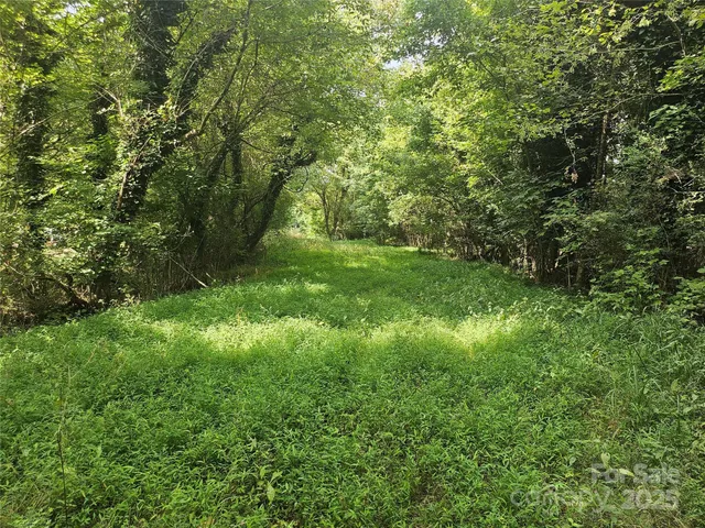 a view of a field with trees in the background