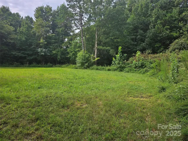 a view of a field with a trees in the background