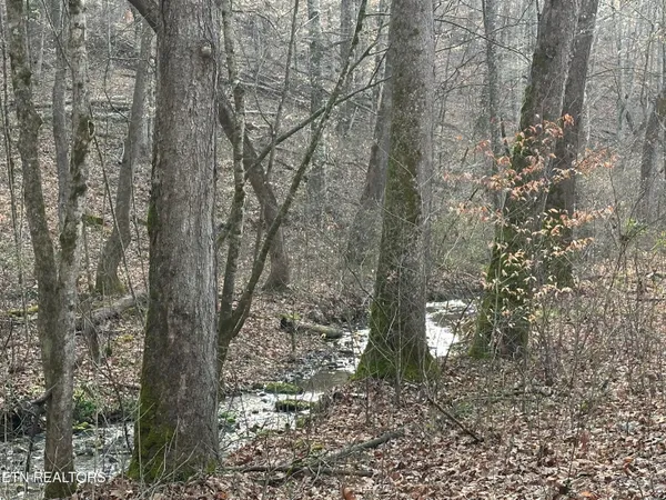 $175,000 | 2144 Yellow Branch Road, Rose Hill, VA 24281