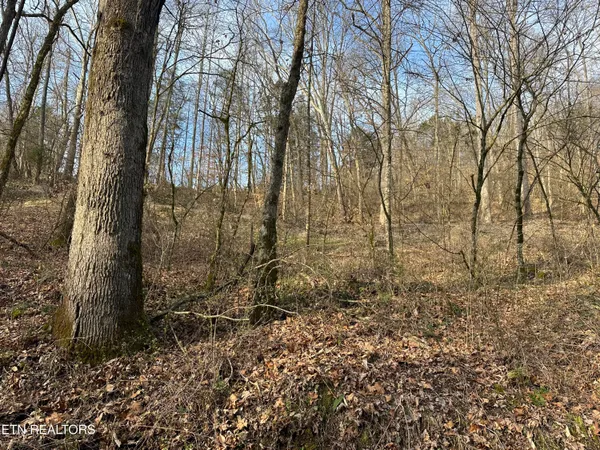 $175,000 | 2144 Yellow Branch Road, Rose Hill, VA 24281