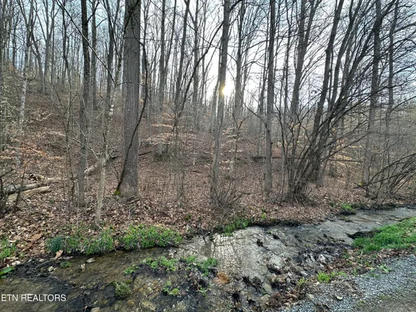 $175,000 | 2144 Yellow Branch Road, Rose Hill, VA 24281