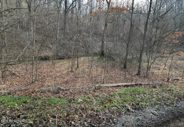 $175,000 | 2144 Yellow Branch Road, Rose Hill, VA 24281