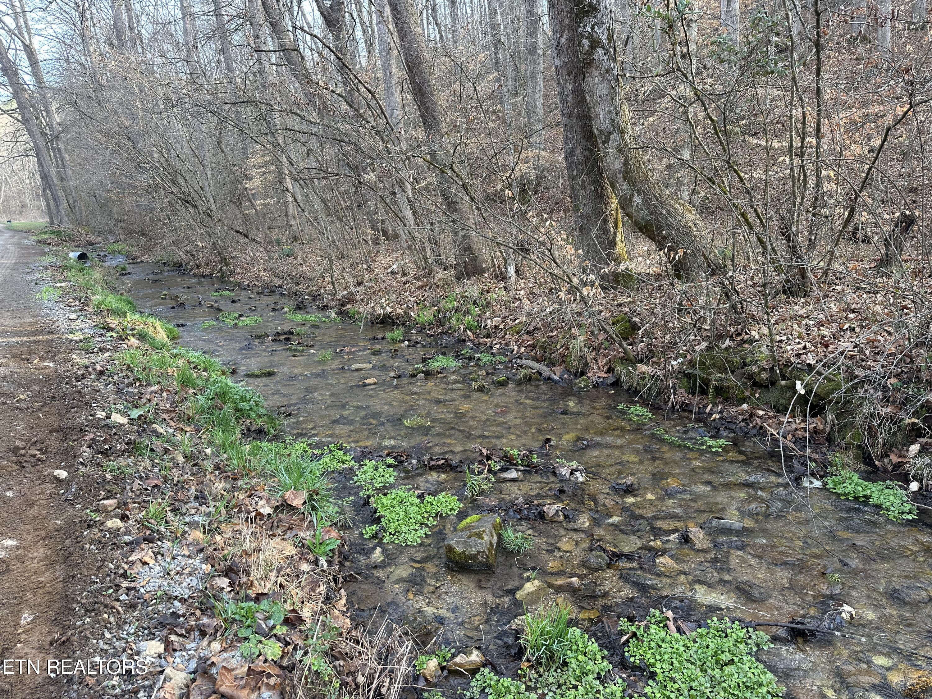 2144 Yellow Branch Road Rose Hill, VA 24281 - Photo 2 of 26 IMG_9488