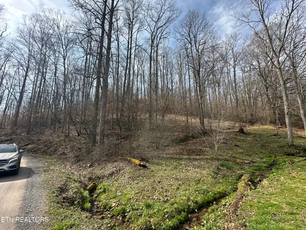 $175,000 | 2144 Yellow Branch Road, Rose Hill, VA 24281