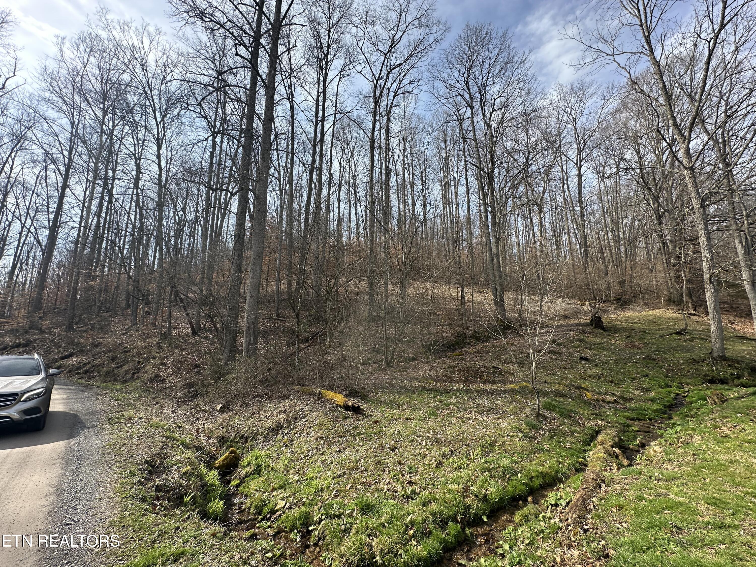 2144 Yellow Branch Road Rose Hill, VA 24281 - Photo 22 of 26 IMG_9464