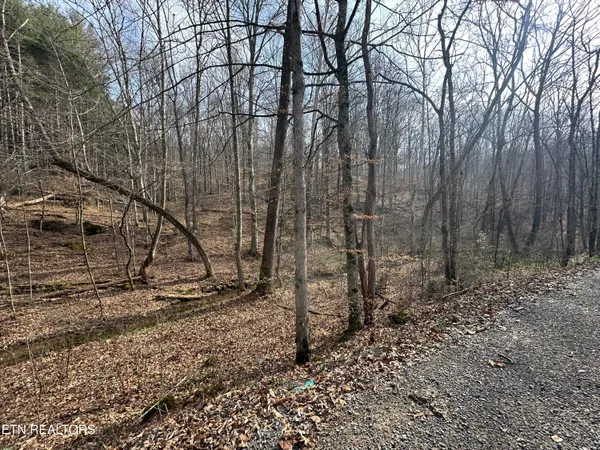 $175,000 | 2144 Yellow Branch Road, Rose Hill, VA 24281