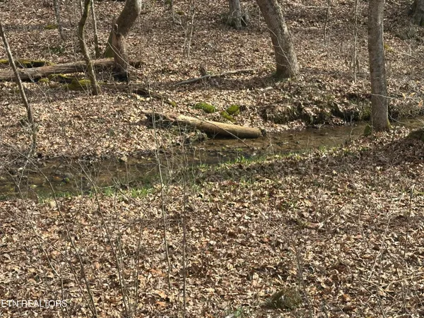 $175,000 | 2144 Yellow Branch Road, Rose Hill, VA 24281