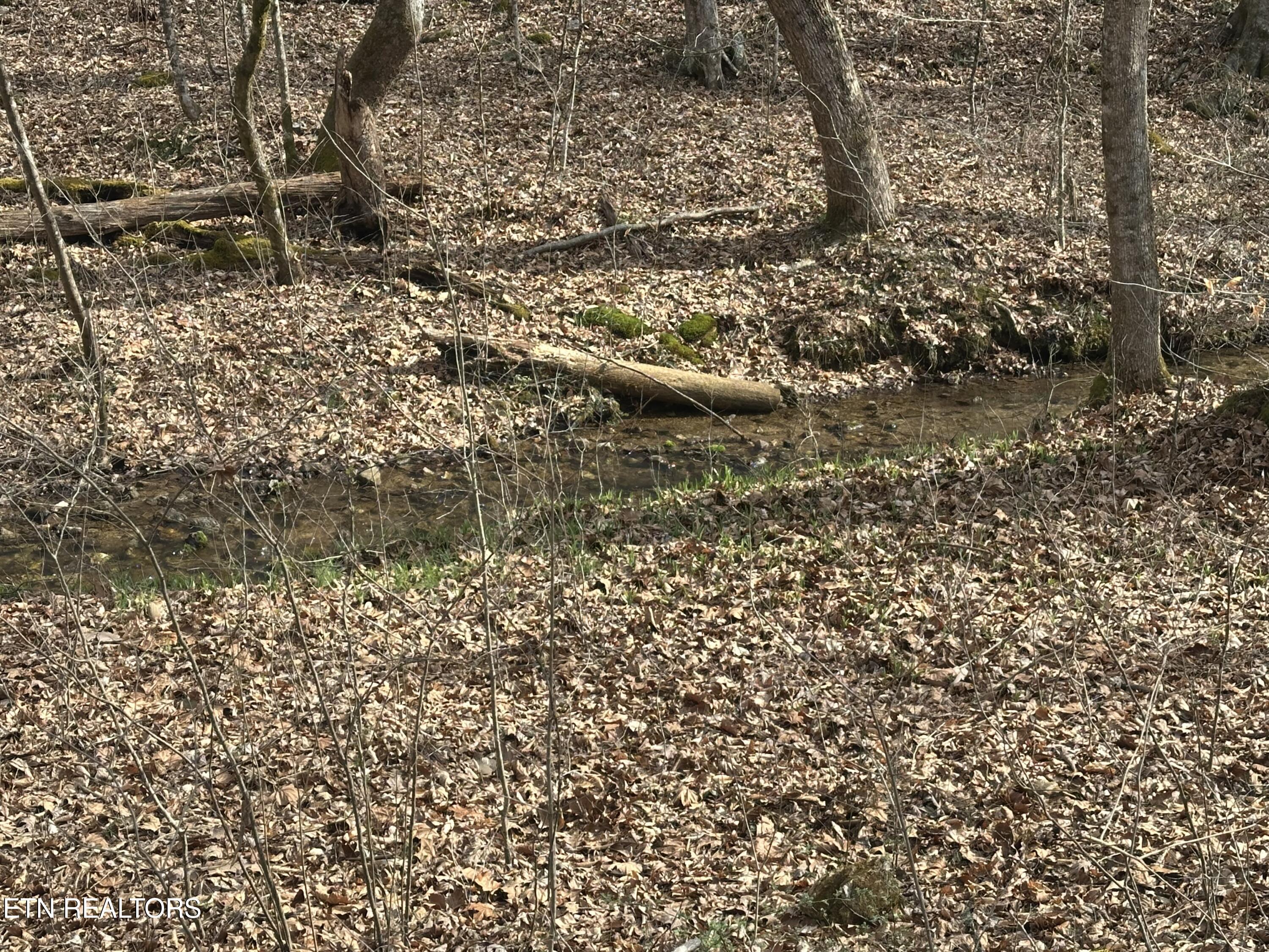 2144 Yellow Branch Road Rose Hill, VA 24281 - Photo 24 of 26 IMG_9462