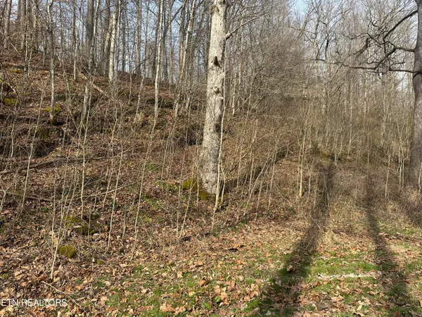 $175,000 | 2144 Yellow Branch Road, Rose Hill, VA 24281