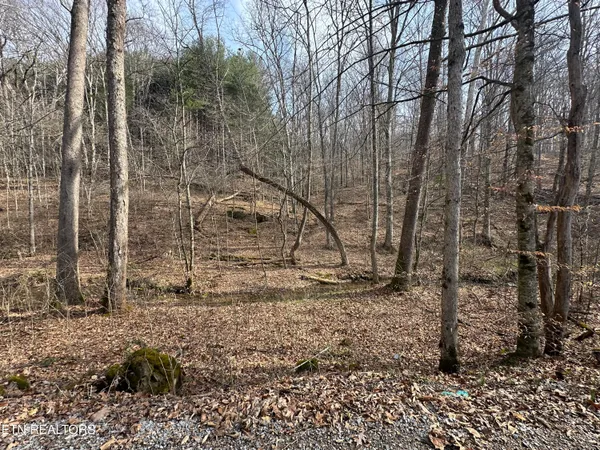 $175,000 | 2144 Yellow Branch Road, Rose Hill, VA 24281