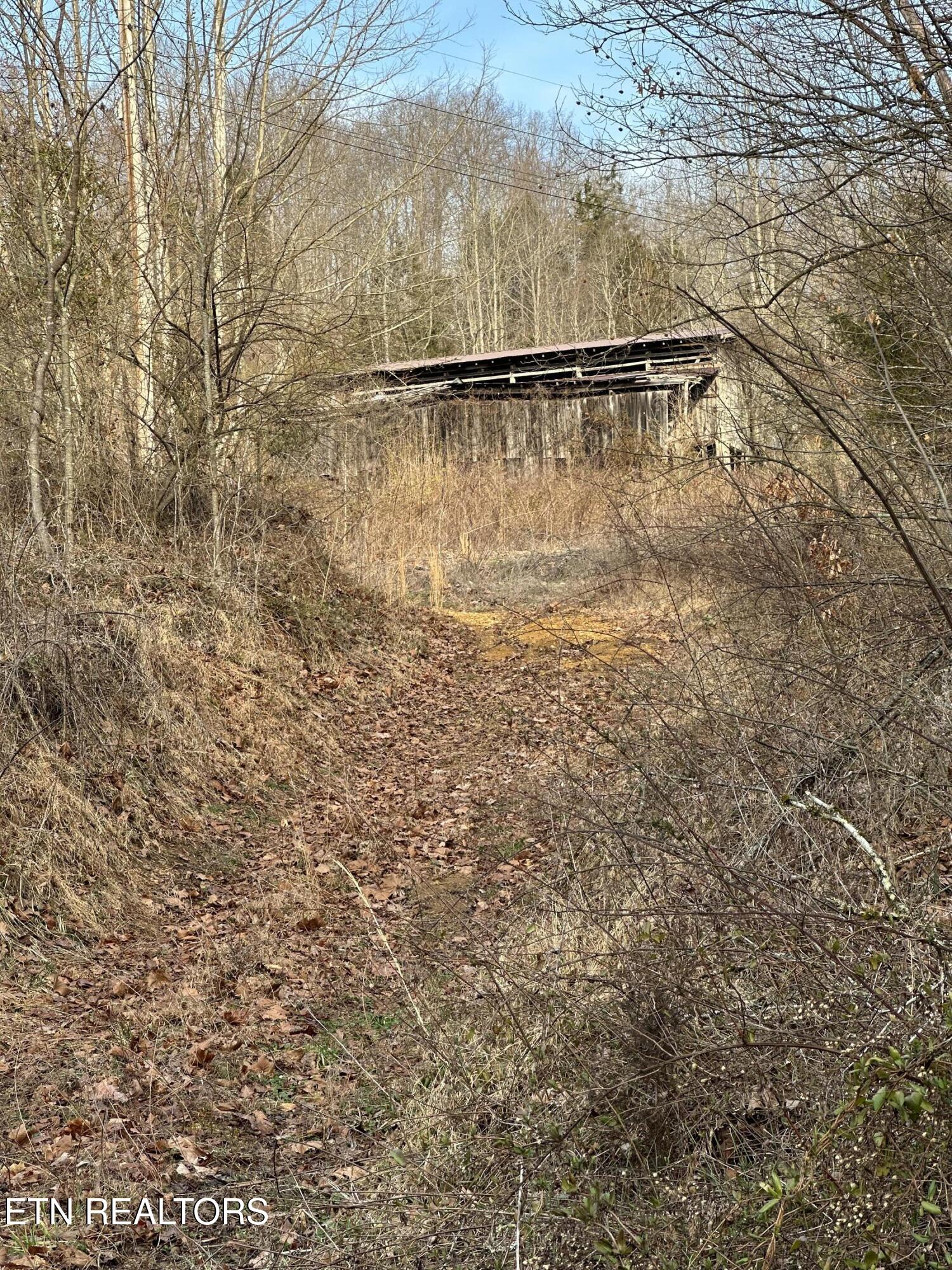 2144 Yellow Branch Road Rose Hill, VA 24281 - Photo 4 of 26 IMG_9500