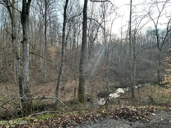 $175,000 | 2144 Yellow Branch Road, Rose Hill, VA 24281