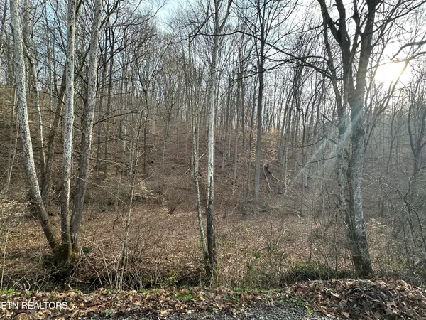 $175,000 | 2144 Yellow Branch Road, Rose Hill, VA 24281