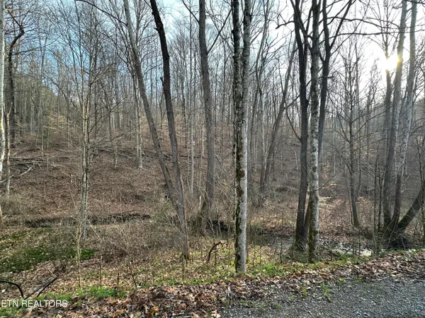 $175,000 | 2144 Yellow Branch Road, Rose Hill, VA 24281