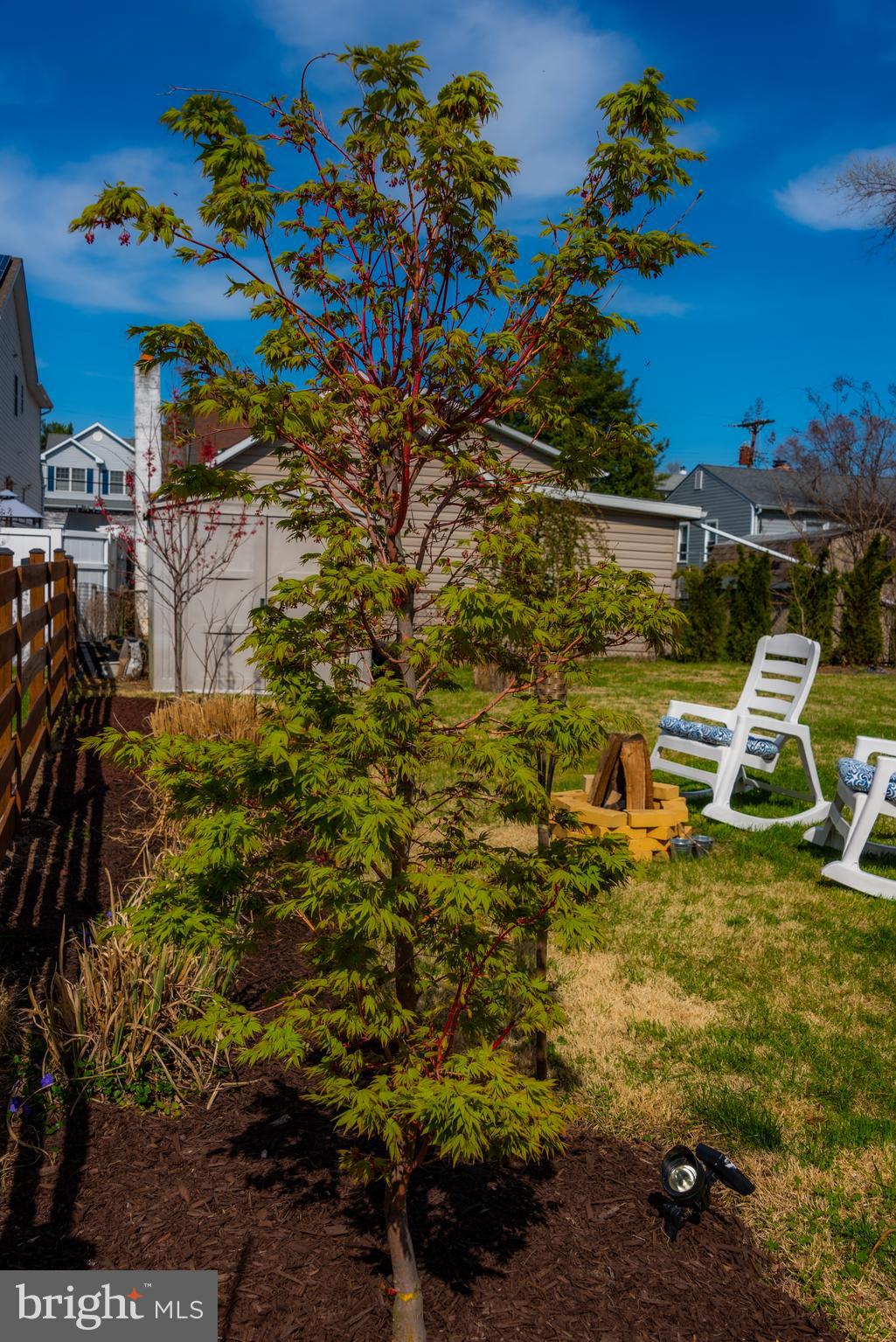 8427 Arbutus Road Pasadena, MD 21122 - Photo 84 of 123 Gallery Image 84