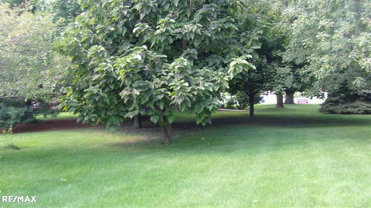 21548 21 Mile Road Macomb, MI 48044 - Photo 3 of 5 Gallery Image 3