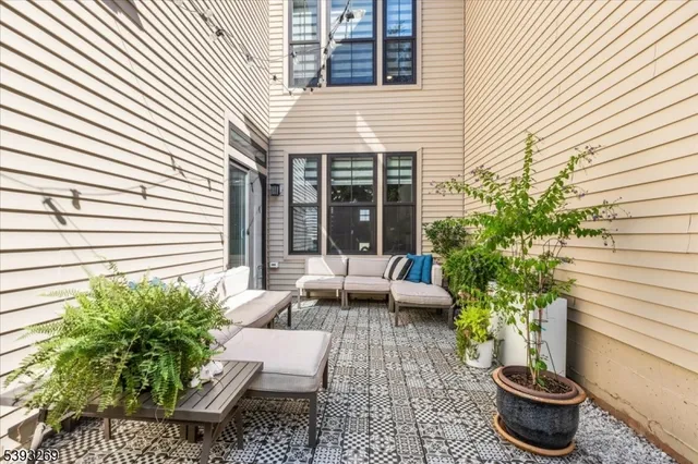 a potted plants sitting in front of a house